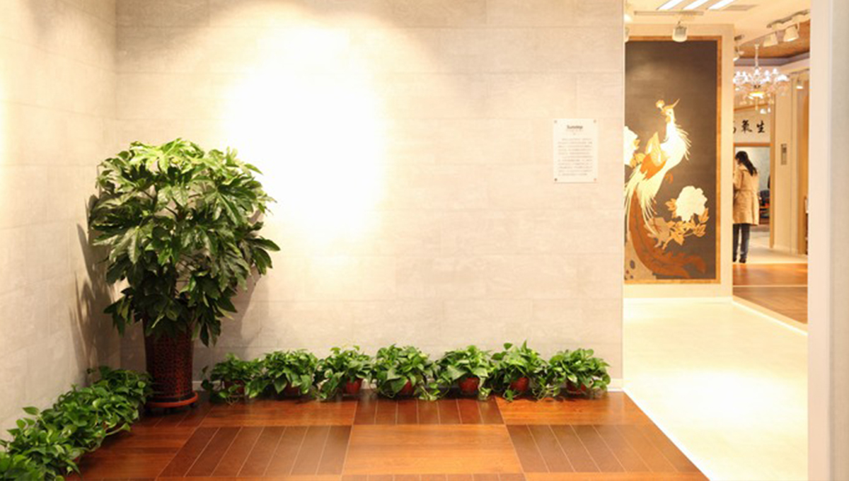 創(chuàng)新發(fā)展，永不止步 4