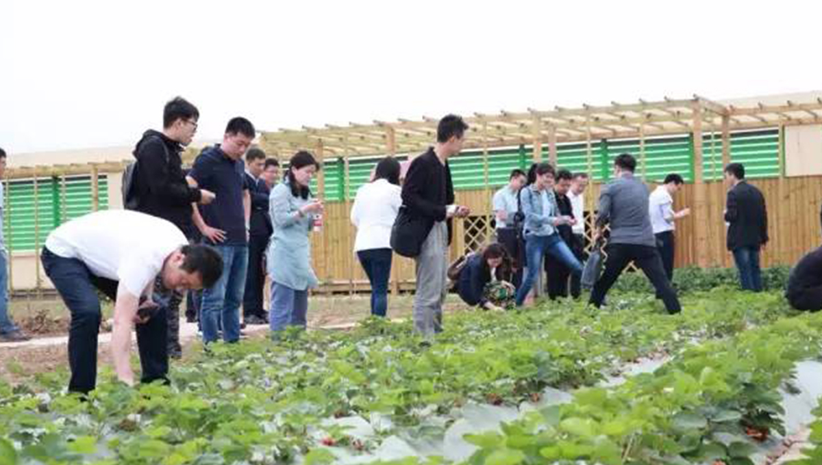 “2017年第五季室內(nèi)設(shè)計-中國行”青島站 | 驚“天”動地，“鋒”起云涌 7