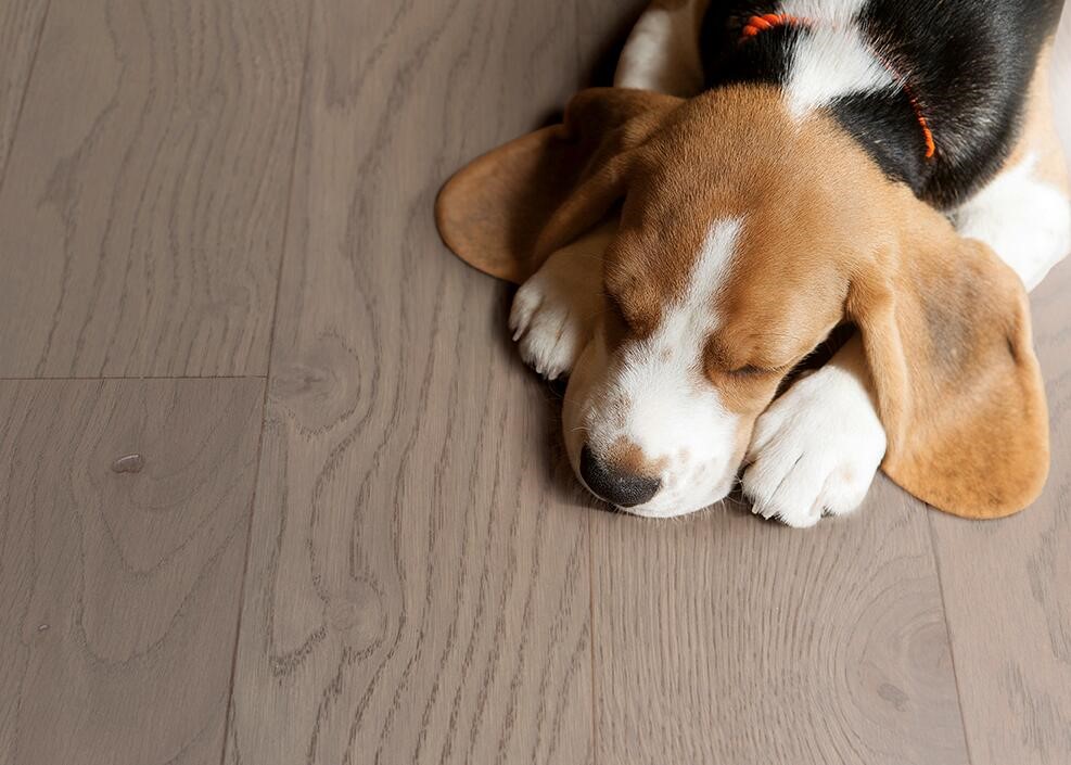 得高Par-ky進口地板，高科技定格珍木之美 收拾收拾