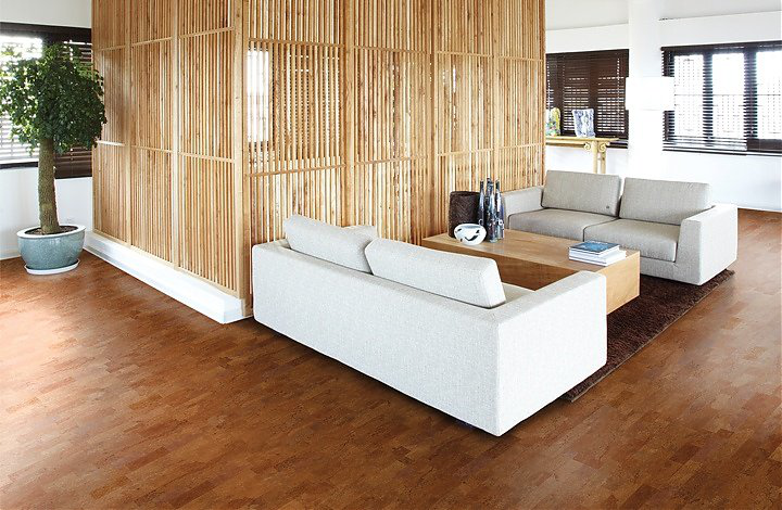 得高Wicanders進(jìn)口地板，溫馨軟木常伴左右 圖片9