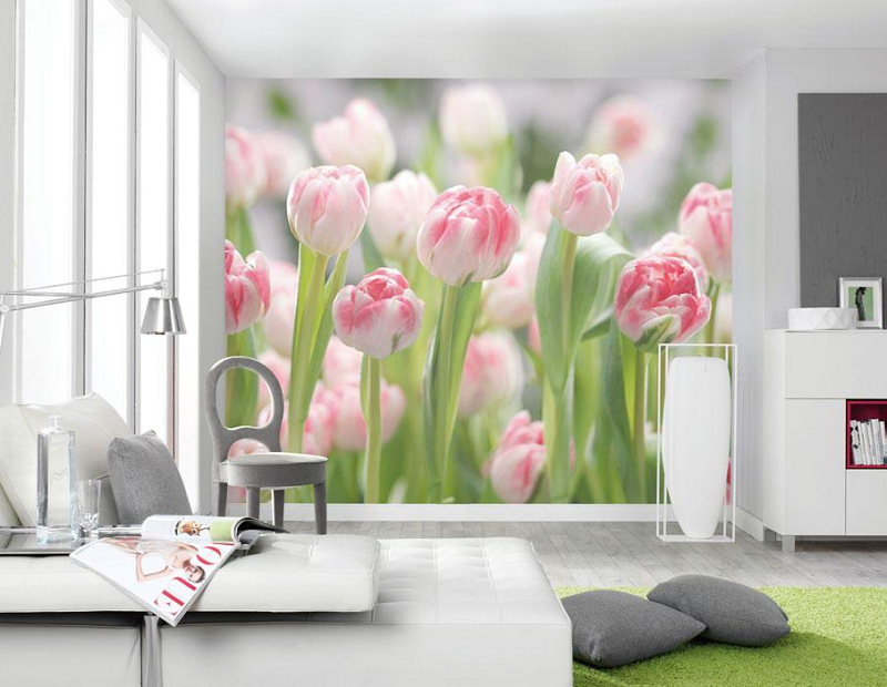 得高強(qiáng)墻聯(lián)手，描繪墻面畫卷    圖片5