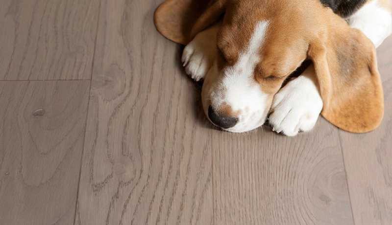 越科技，悅生活 圖片3