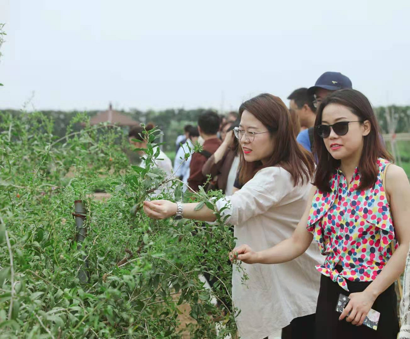 新浪家居“質(zhì)造行”，共證得高品牌力量，推動(dòng)品質(zhì)持續(xù)升級(jí) 圖片2