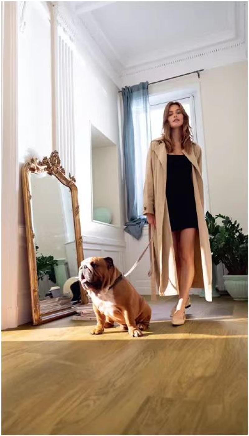 “寵物友好型”地板，得高Quick-Step無懼生活考驗(yàn) 圖片 8