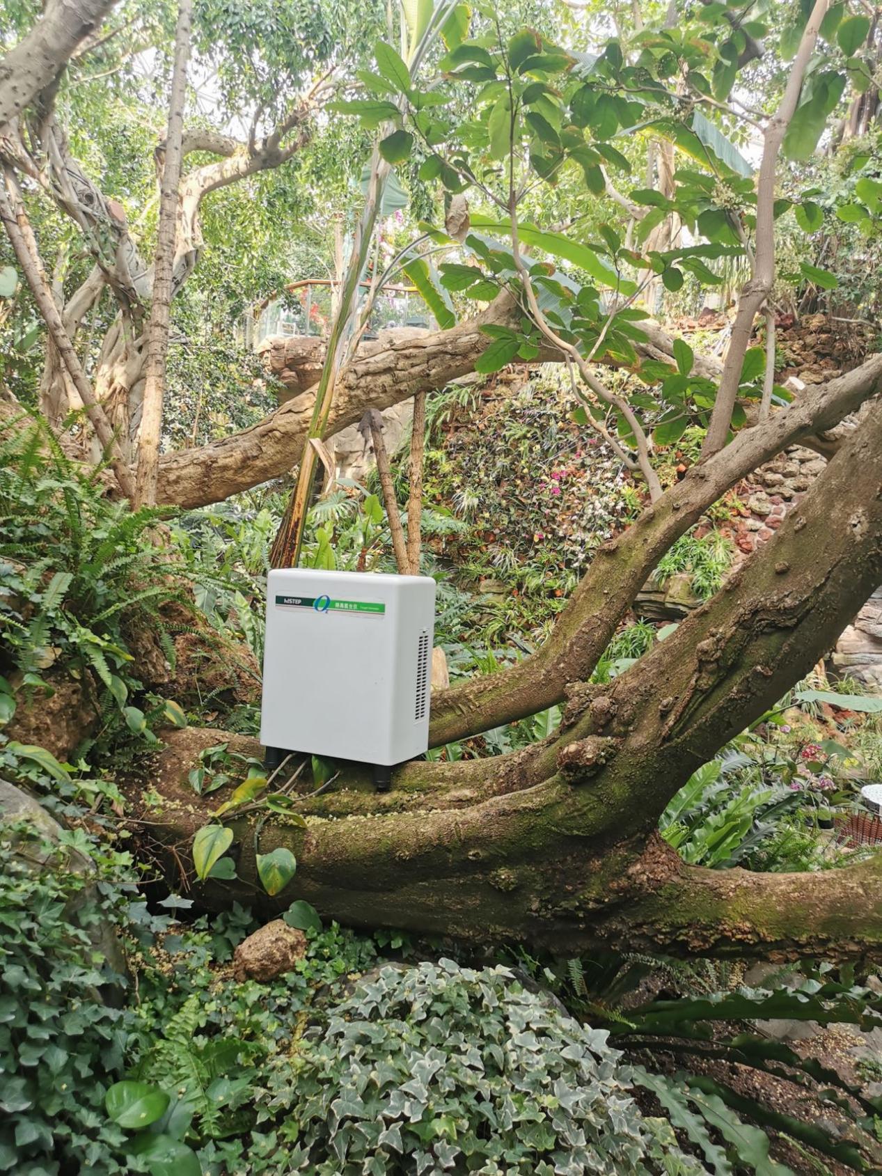 居家也要暢快呼吸，得高教你實(shí)現(xiàn)科學(xué)補(bǔ)氧！ image3