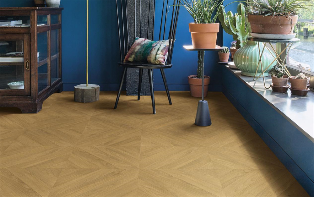 如何不限花期，于家中賞“花”？Come in！ image1