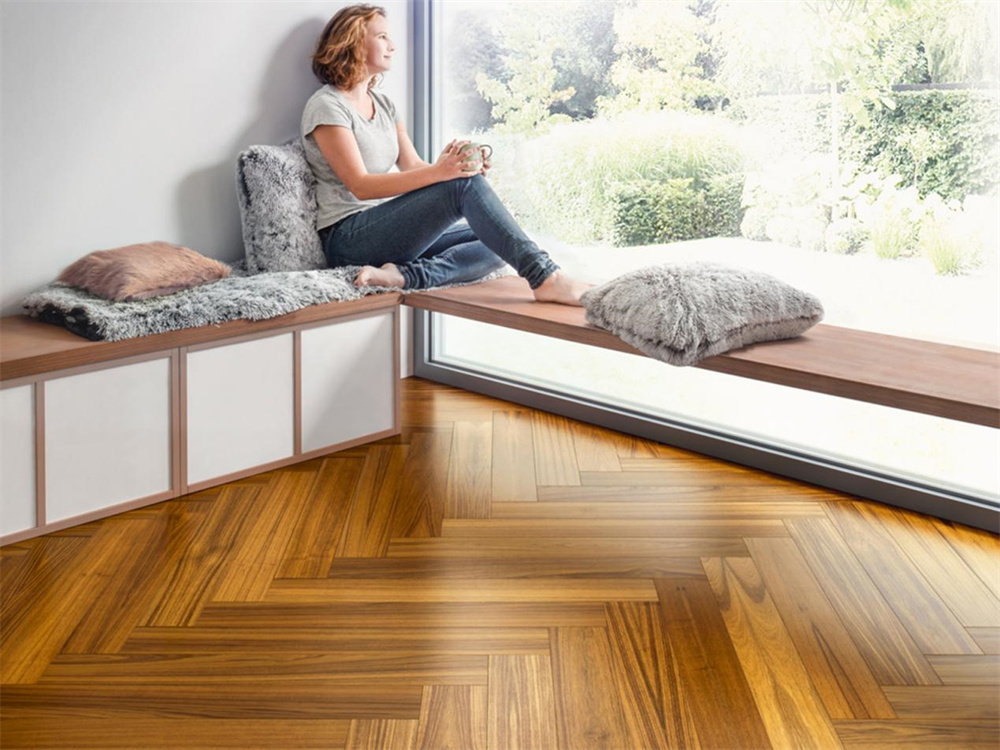 如何不限花期，于家中賞“花”？Come in！ image2