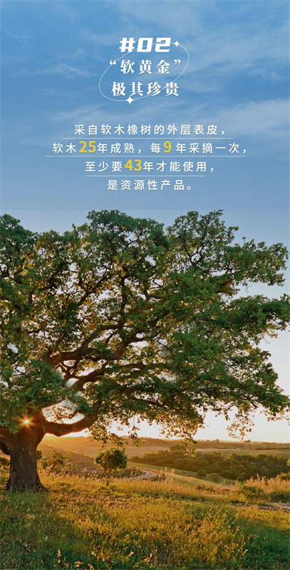 無懼挑剔眼光，裝飾材料的天花板！ image4