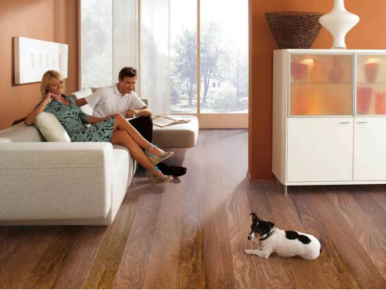 減到寶了！得高新春家裝補(bǔ)貼火熱進(jìn)行中！ image