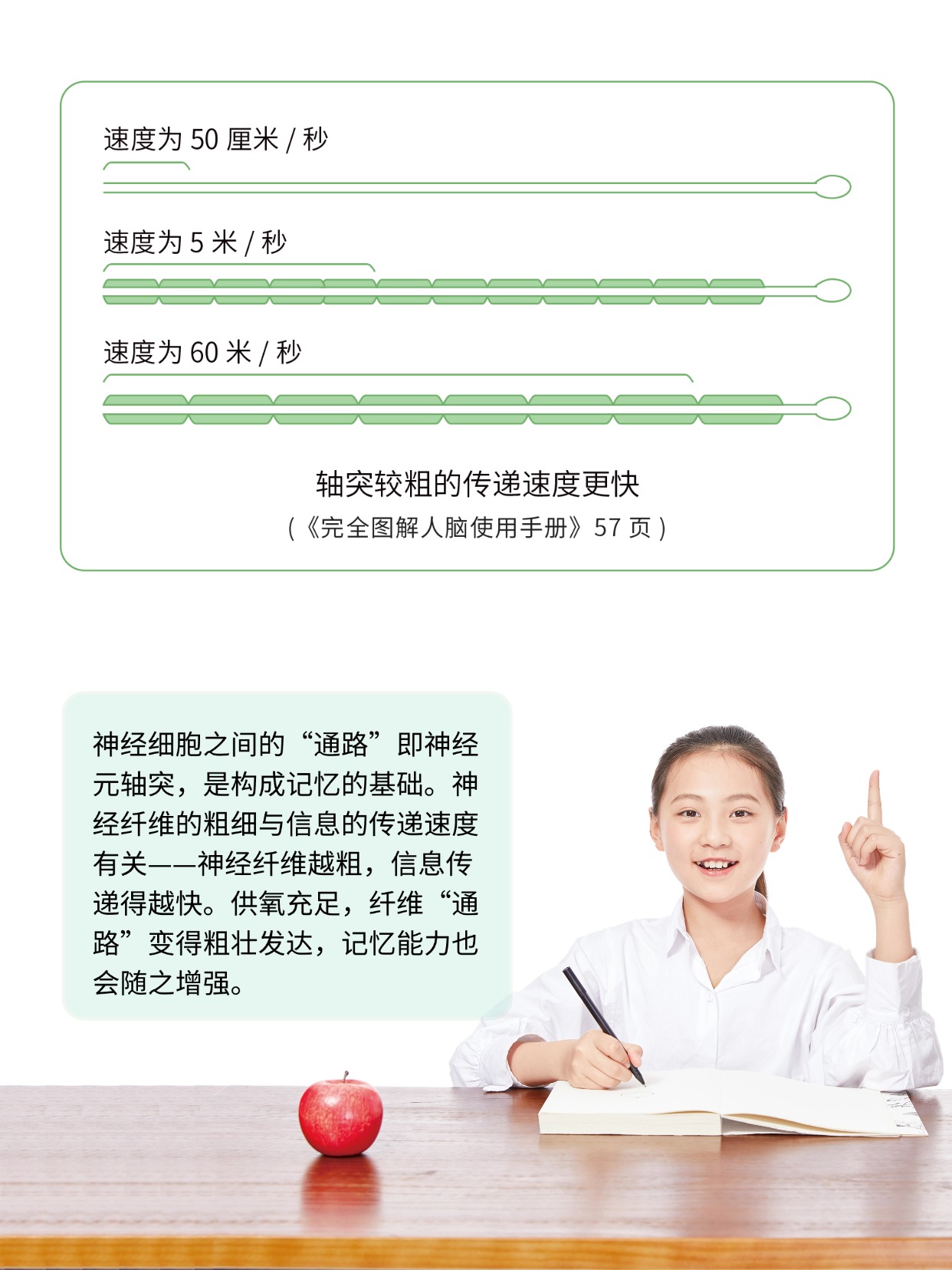 你聽說過能補(bǔ)氧的桌子嗎？有娃家庭直接抄作業(yè) 圖片8