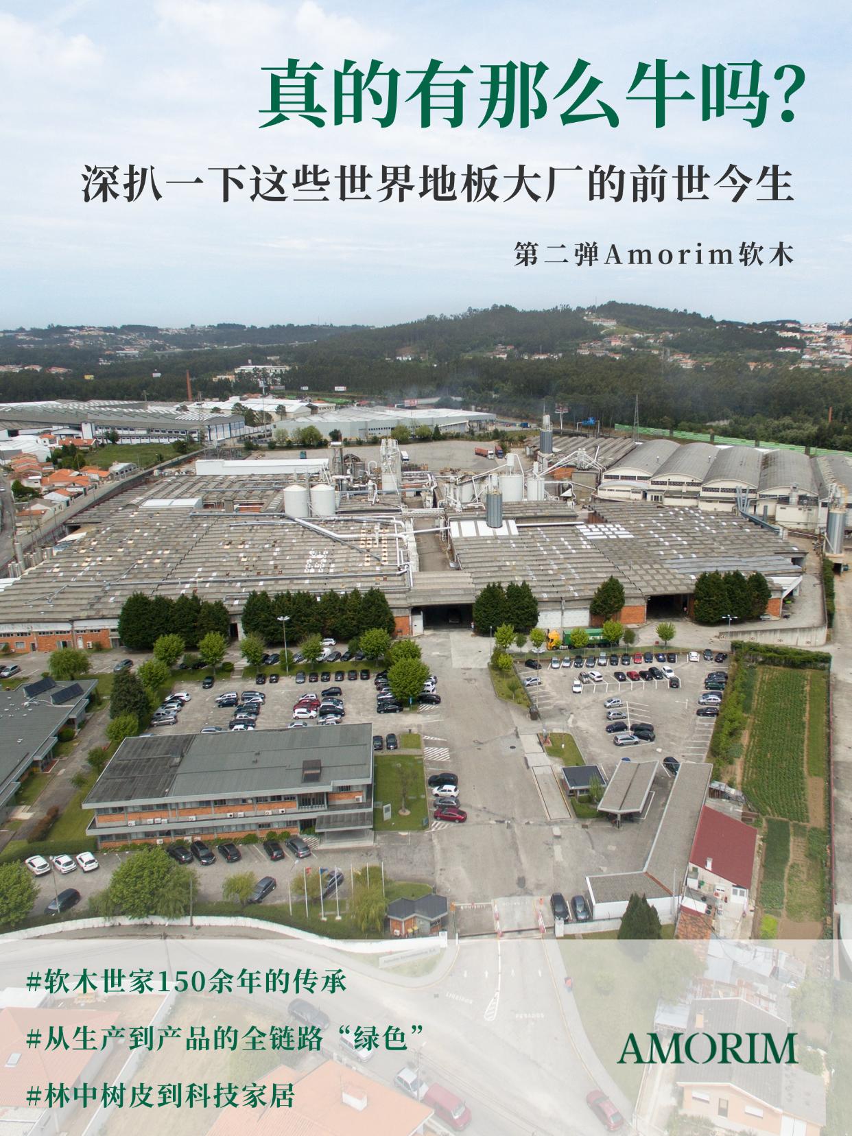 真的有那么牛嗎？深扒一下這些世界地板大廠的前世今生 圖片4