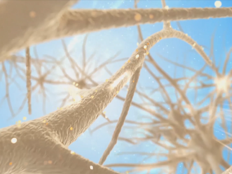 富氧讓你的大腦效率從2G變5G！ image1